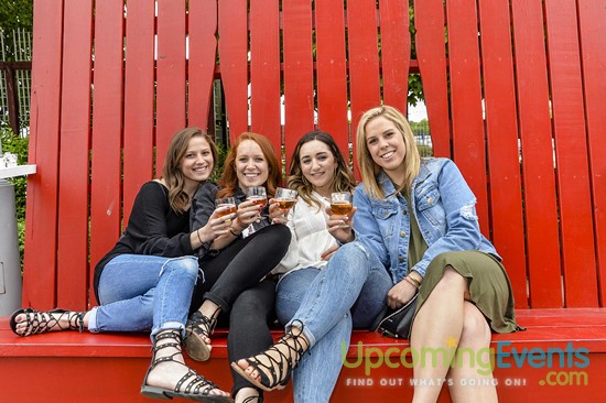All Star Craft Beer & Wine Festival - Gallery 5
