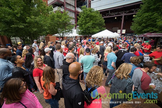 All Star Craft Beer & Wine Festival - Gallery 6