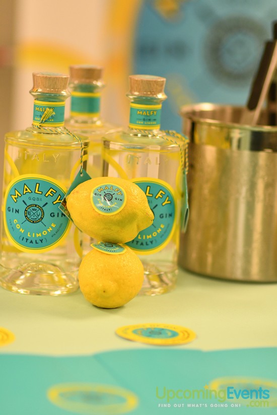 Philadelphia Restaurant Festival 2017 (Gallery 2)