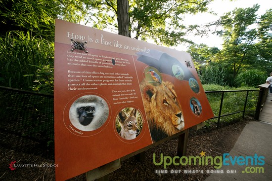 Summer Ale Festival at The Zoo!