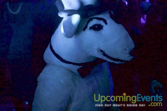 The Glitter City Gala - Philly's Hottest NYE Party! (Gallery 1)