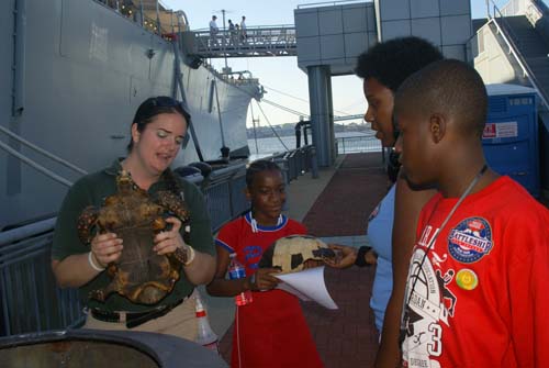 Battleship Blast 2010