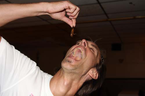 City Chase Philadelphia 2010 - The Race