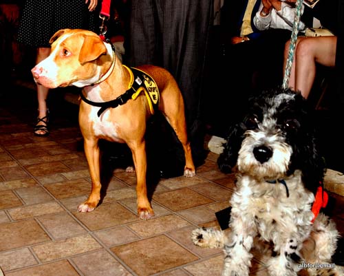 Fashion in Public (Gallery 2)