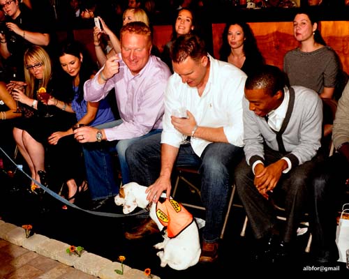 Fashion in Public (Gallery 2)