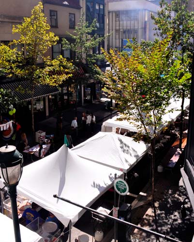 Fall Festival 2010 (Gallery 1)