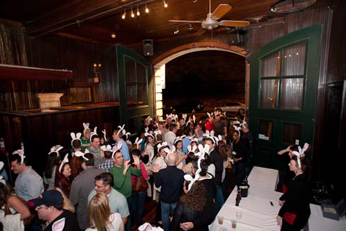 13th Annual Bunny Hop! (Gallery 1)