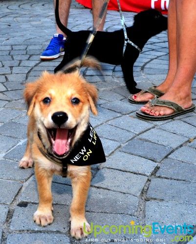 PW Concerts at Piazza