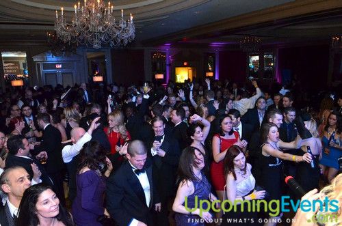 Hair O' the Dog (Gallery B)