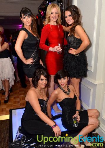 Hair O' the Dog (Gallery A)