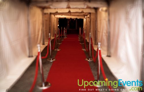 darci by DiCaprio's Oscar Night