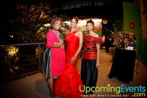 REd Ball 2012 Gallery 2