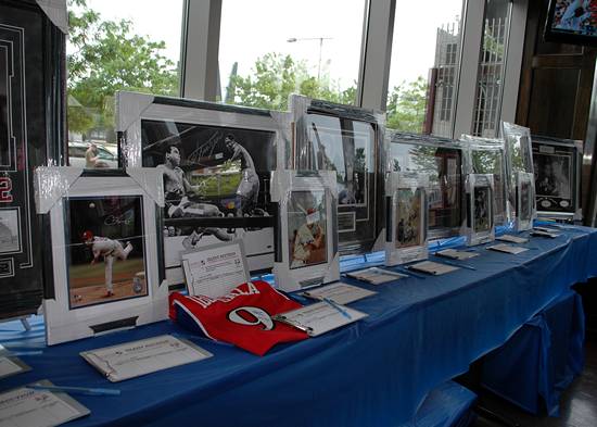 Beer Fest at the Ballpark 2012!