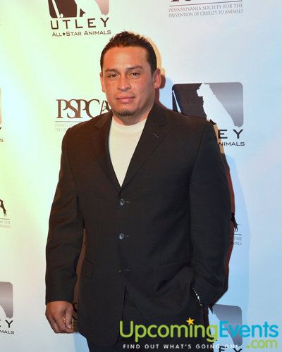 Utley All Star Animals Casino Night