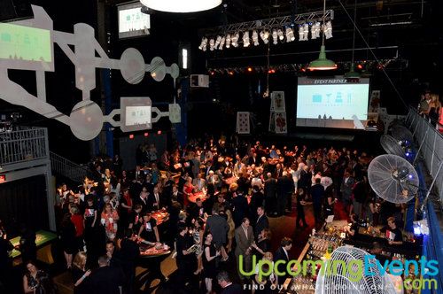 Utley All Star Animals Casino Night