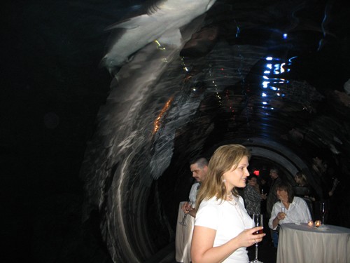 Hot Chocolate: A Tasting Event