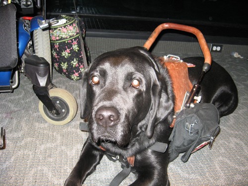 Hot Chocolate: A Tasting Event