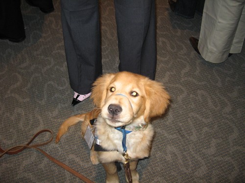 Hot Chocolate: A Tasting Event