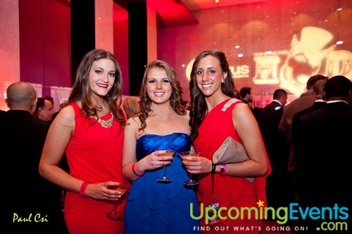 Hair O' The Dog (Gallery B)