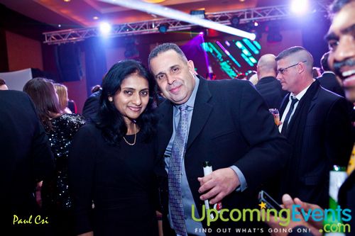 Hair O' The Dog (Gallery A)