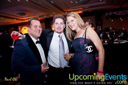 Hair O' The Dog (Gallery A)