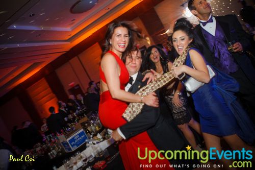 Hair O' The Dog (Gallery A)