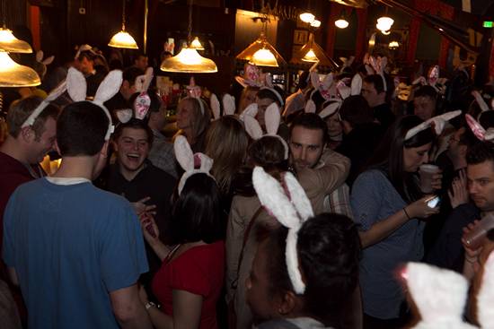 15th Annual Bunny Hop! (Gallery B)