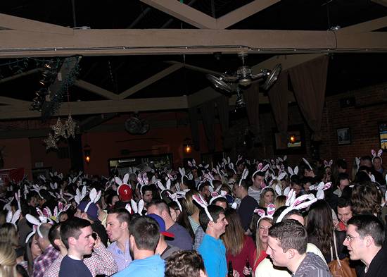 15th Annual Bunny Hop! (Gallery C)