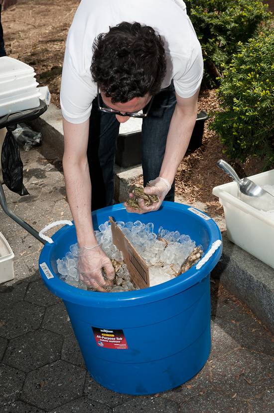 The Philadelphia Craft Beer & Oysterfest (Gallery A)