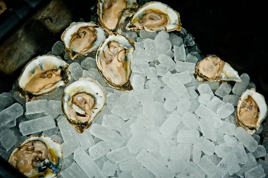 The Philadelphia Craft Beer & Oysterfest (Gallery A)