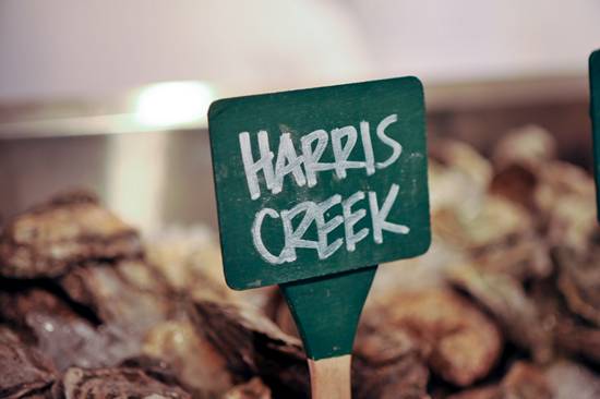 Doc Magrogan's Deck Launch