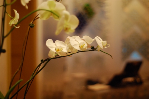 Young Professionals After-Work Networking Happy Hour