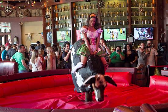 Xtoberfest 2013 (Gallery D)