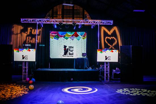 17th Annual Philly Fur Ball