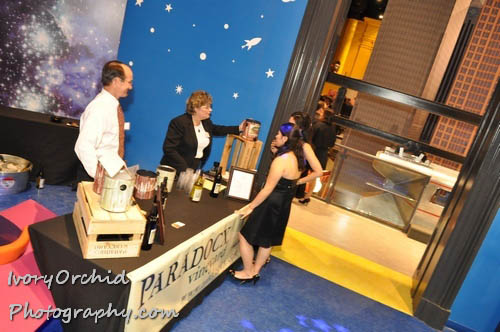 The 2009 Red Ball at The Please Touch Museum