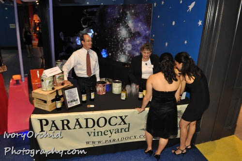 The 2009 Red Ball at The Please Touch Museum