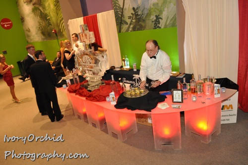 The 2009 Red Ball at The Please Touch Museum