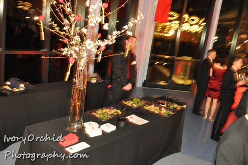 The 2009 Red Ball at The Please Touch Museum