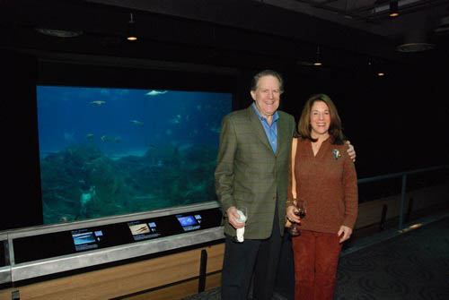 Hot Chocolate @ The Adventure Aquarium