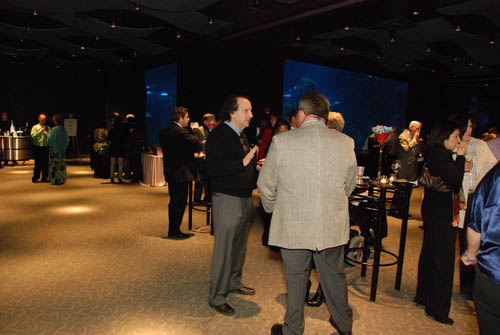 Hot Chocolate @ The Adventure Aquarium