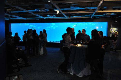 Hot Chocolate @ The Adventure Aquarium