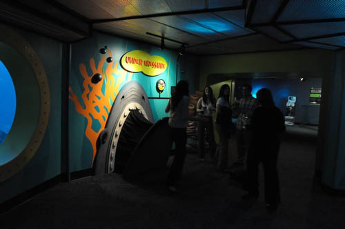 Hot Chocolate @ The Adventure Aquarium