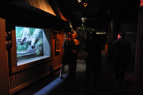 Hot Chocolate @ The Adventure Aquarium