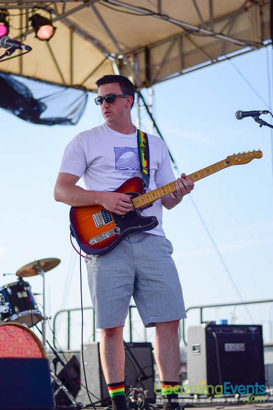 Springfest Live! Craft Beer Fest (Gallery C)