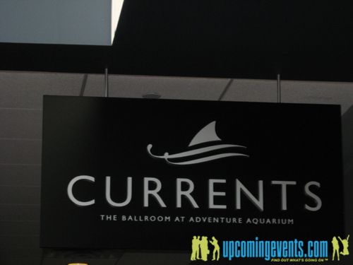 A Taste of South Jersey