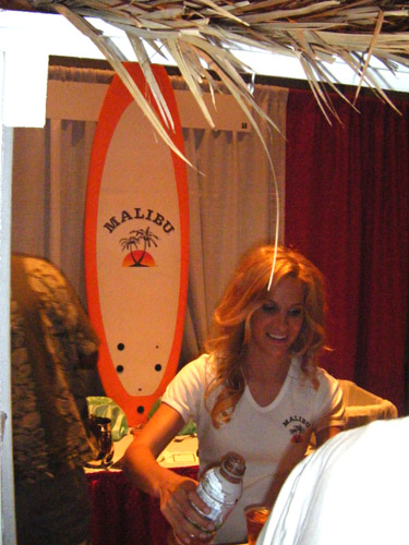 Atlantic City Food & Wine Festival