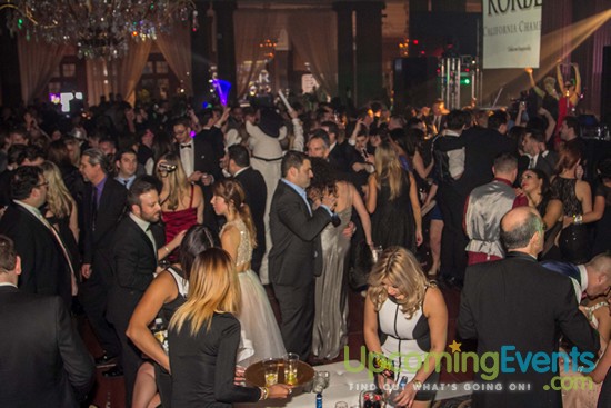 Hair O' The Dog 2016 (Gallery 1)