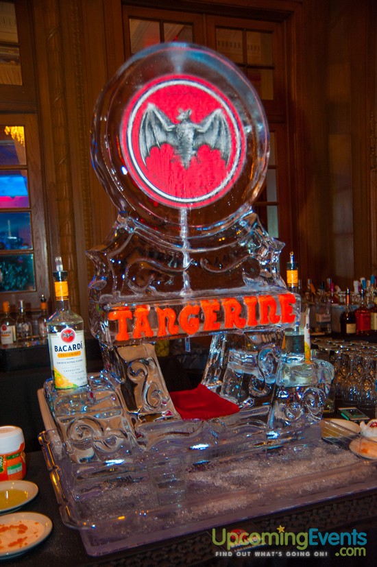 Hair O' The Dog 2016 (Gallery 2)