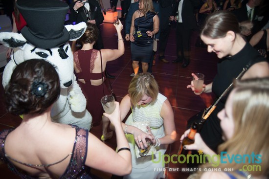 Hair O' The Dog 2016 (Gallery 2)