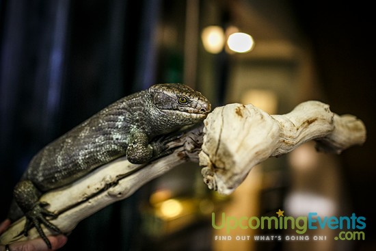 Philadelphia Restaurant Festival 2016